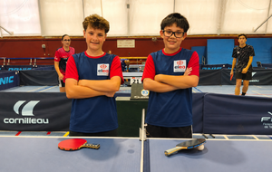 Finales fédérales par classement